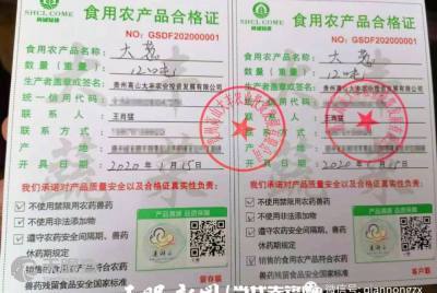 贵州高山大丰农业投资发展