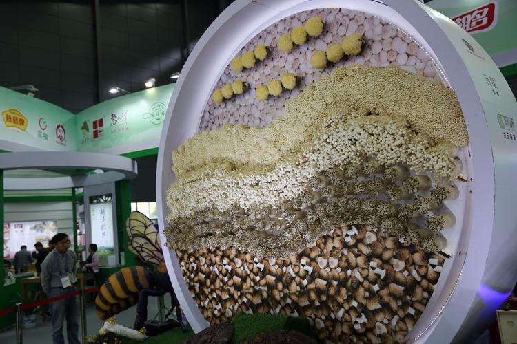 农产品交易会上的美:水果蔬菜拼出画堆成雕塑